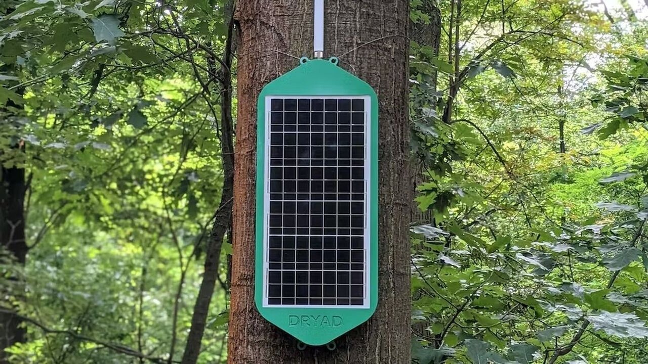 The Dryad Networks LoRaWan Gateway