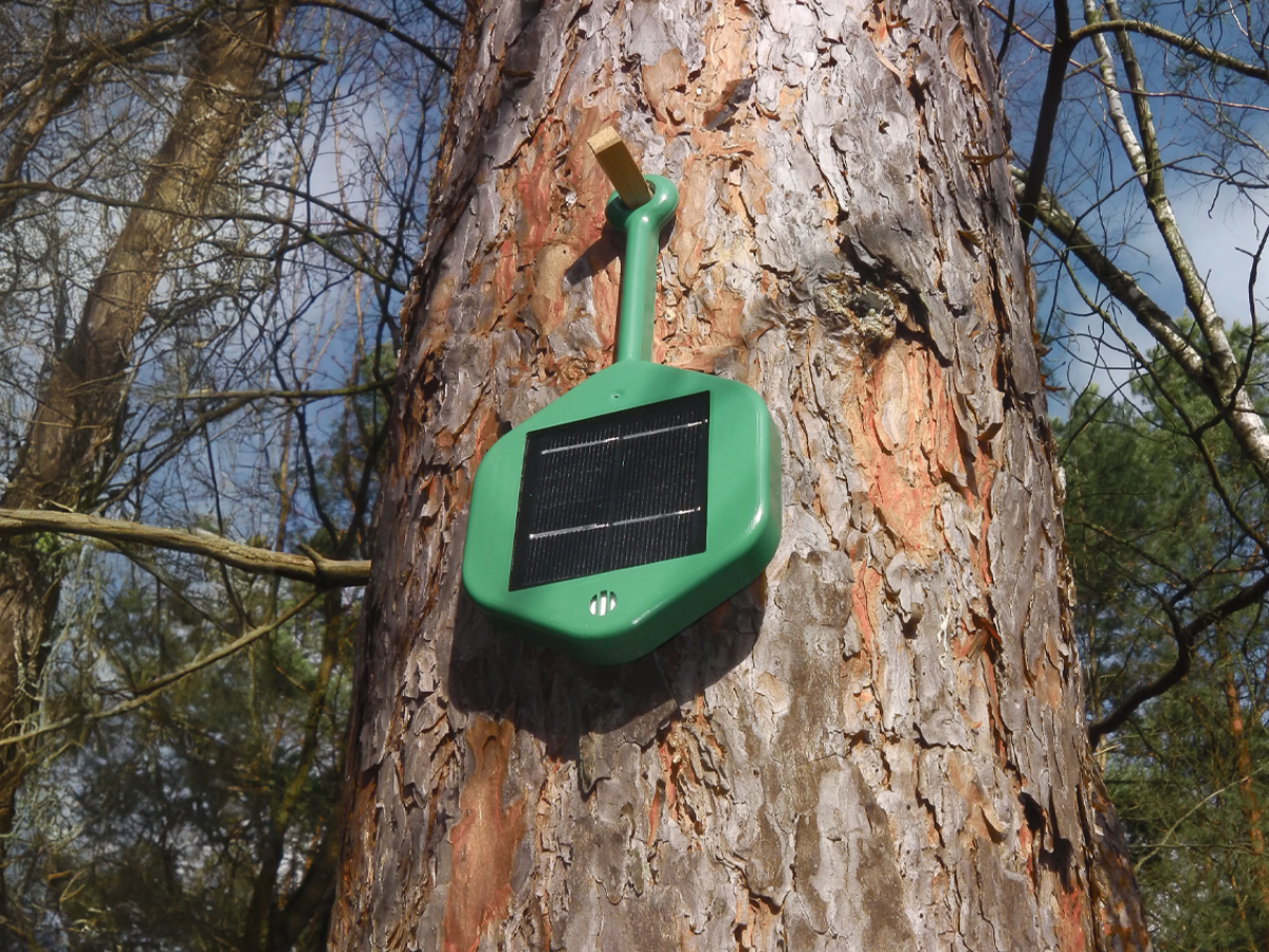 The Dryad Networks Sensor